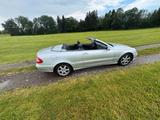 Mercedes-Benz Mercedes CLK 209 Cabrio CLK240 Leder Autom... - Mercedes-Benz CLK-Klasse A209
