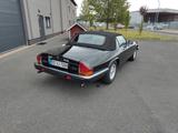 Jaguar XJS 5.3 HE V12 Convertible - HU neu - Jaguar XJS: V12