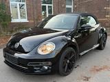 Volkswagen Beetle Cabriolet Allstar BMT/Start-Stopp/Euro6 - Volkswagen Beetle: Allstar