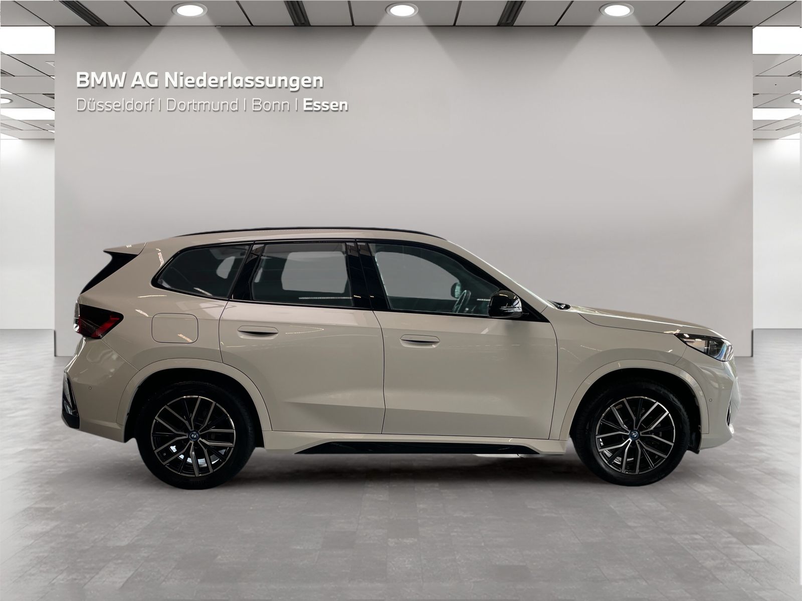 BMW iX1 xDrive30 M Sport Driv.Assist.Prof Harman K foto 5