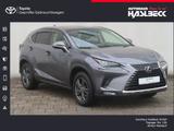 Lexus NX 300h E-FOUR Executive Line - Lexus aus 2019
