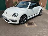 Volkswagen VW Beetle Cabrio 1.4 TSI Club R-Line - VW Beetle Gebrauchtwagen in Bremen