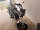 Honda Dax - Angebote