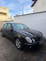 Mercedes-Benz E 240 AVANTGARDE Avantgarde - Mercedes-Benz E 240 mit Panoramadach