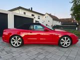 Maserati Spyder 4200 GT Cambiocorsa **wenig KM** - Maserati Spyder: Cambiocorsa