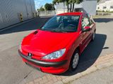 Peugeot 206 - Peugeot 206 aus 2007