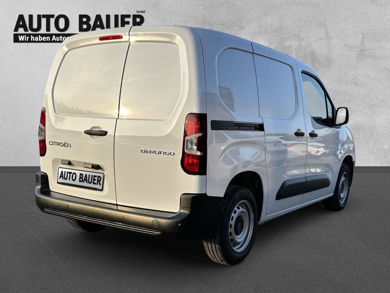Fahrzeugabbildung Citroën Berlingo Kastenwagen M Diesel 100