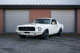 Ford Fastback Custom | 6.5l Ford Racing Motor - Ford Mustang: Motor