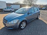Kia cee'd / Ceed 1.4 *Wenig Km*Tüv neu*Allwetter* - Kia cee'd / Ceed aus 2008