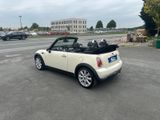 MINI COOPER Cabrio/Leder/Klima/17-Zoll/MF-Lenkrad - MINI MINI aus 2008: Cabrio