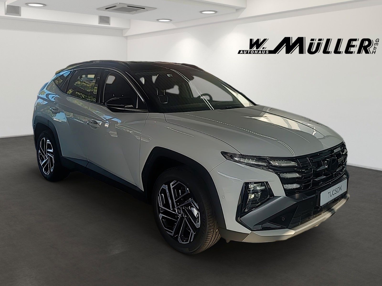 Fahrzeugabbildung Hyundai Tucson Prime Hybrid
