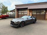 Ford GT 350 SHELBY*PREMIUM*NAVI*LED*GARANTIE*SERVICE - Ford Mustang Gebrauchtwagen in Hannover
