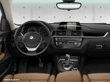 BMW 220d xDrive Coupe "Advantage" Navi Leder AHK - BMW 2er Reihe mit Diesel-Antrieb: Sportwagen