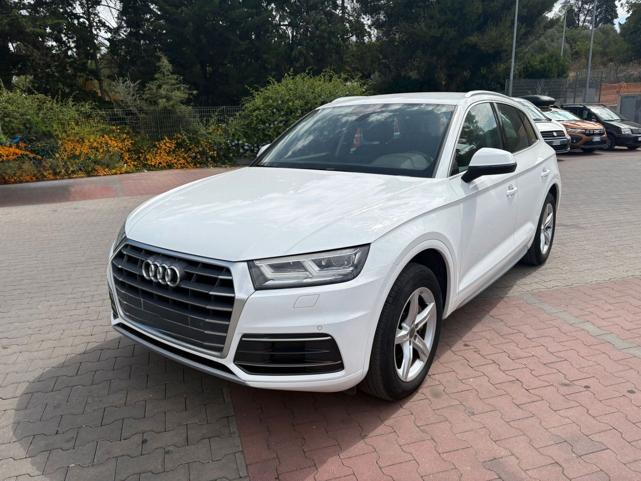 AUDI Audi Q5 2.0 TDI 150 CV Business Sport