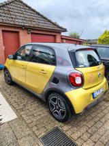 Smart ForFour - Gelb-Gold/Schwarz 2.Hand - Smart ForFour in Bremen
