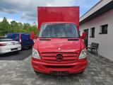 Mercedes-Benz Sprinter Pferdetransporter Steinsberger - Tier-/Pferdetransport Steinsberger