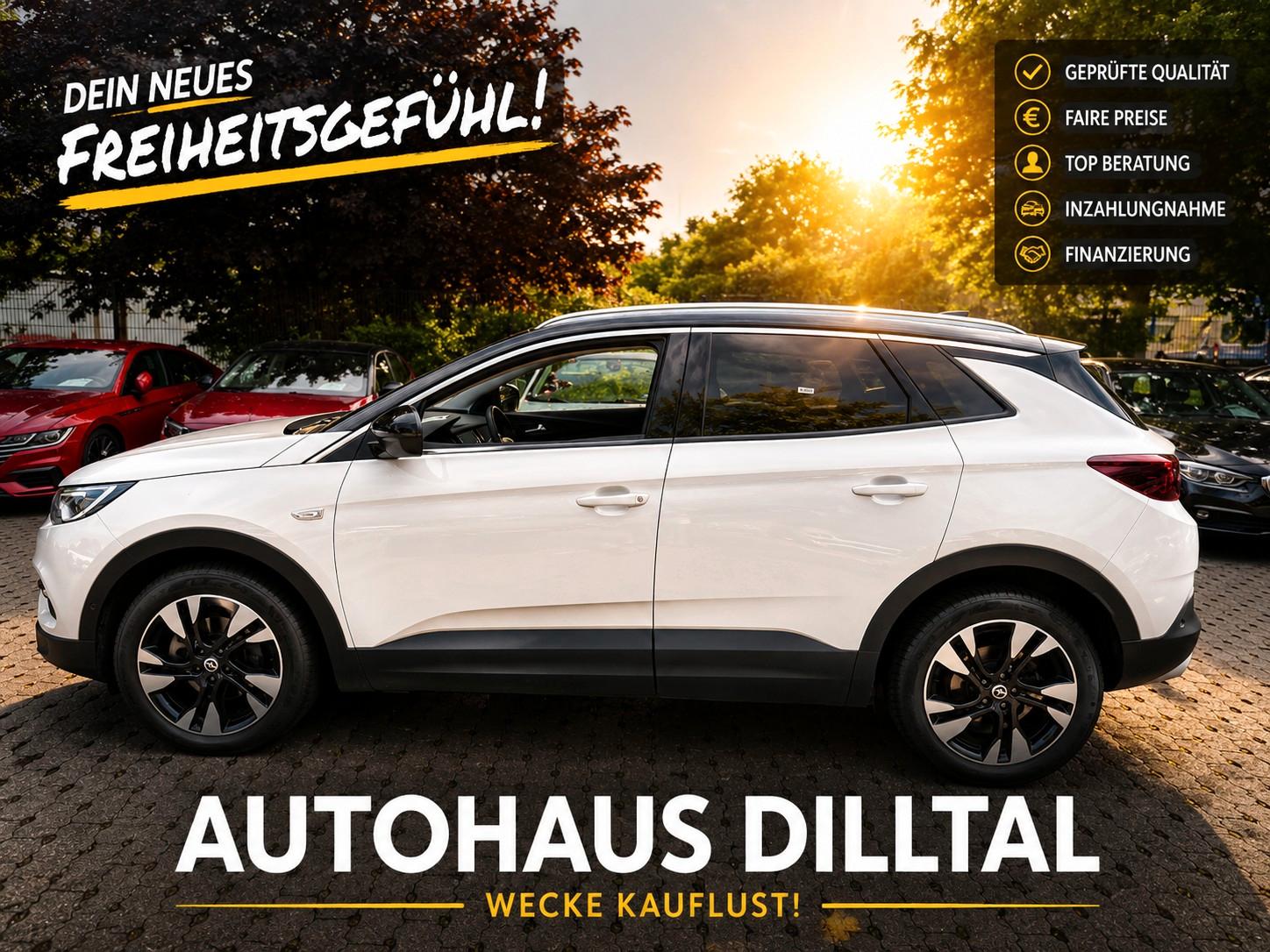Opel Grandland (X)#LEDER#Sitzkühlung#KAMERA#Totwinkel