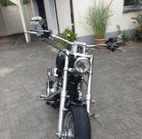 Harley-Davidson Softail Custom, Thunderbike-Umbau  - Offers matching your search criteria