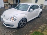 Volkswagen Vw  New Beetle weiss 105Ps VW Limousine - Volkswagen New Beetle mit Benzin-Antrieb: Limousine
