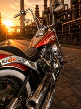 Harley-Davidson Softail Custom  - MOTORRAD AUS DEM JAHR 2007