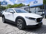 Mazda CX-30 e-SKYACTIVE EXCLUSIVE-LINE 2.5 ACC HUD - Mazda Unfallwagen