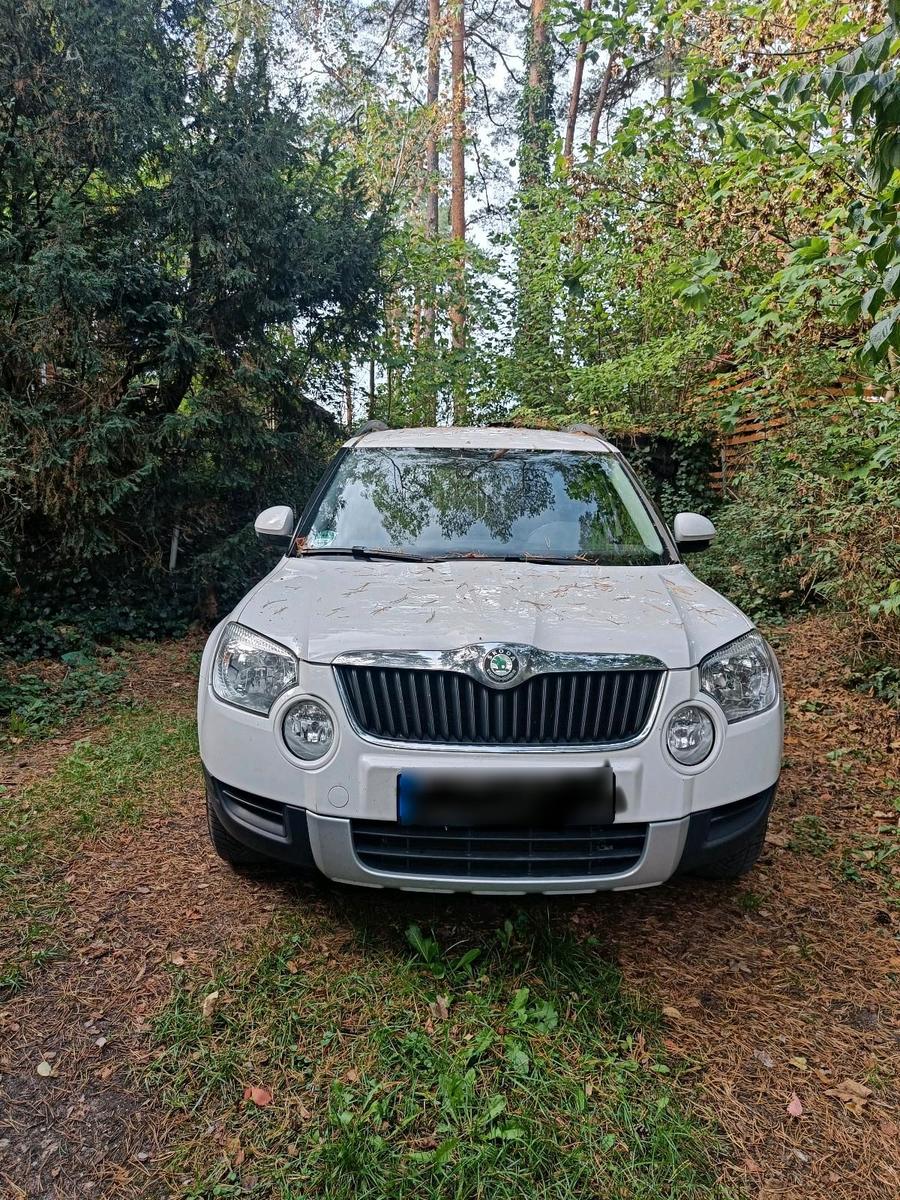 Skoda Yeti, 2010