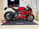 Ducati Panigale V4 Bagnaia 2022 World Champion Replica - DUCATI REPLICA