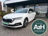 Skoda Octavia IV Combi 2.0 TDI DSG Tour - Skoda Octavia iV Gebrauchtwagen
