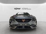 Cupra Formentor 4Drive 2.0 TSI Full Link Klima - Cupra Formentor mit Benzin-Antrieb: Sportwagen