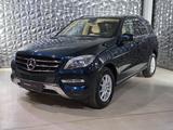 Mercedes-Benz ML 250 CDI BlueTEC 4Matic HeadUp 360° - Mercedes-Benz ML 250 aus 2015