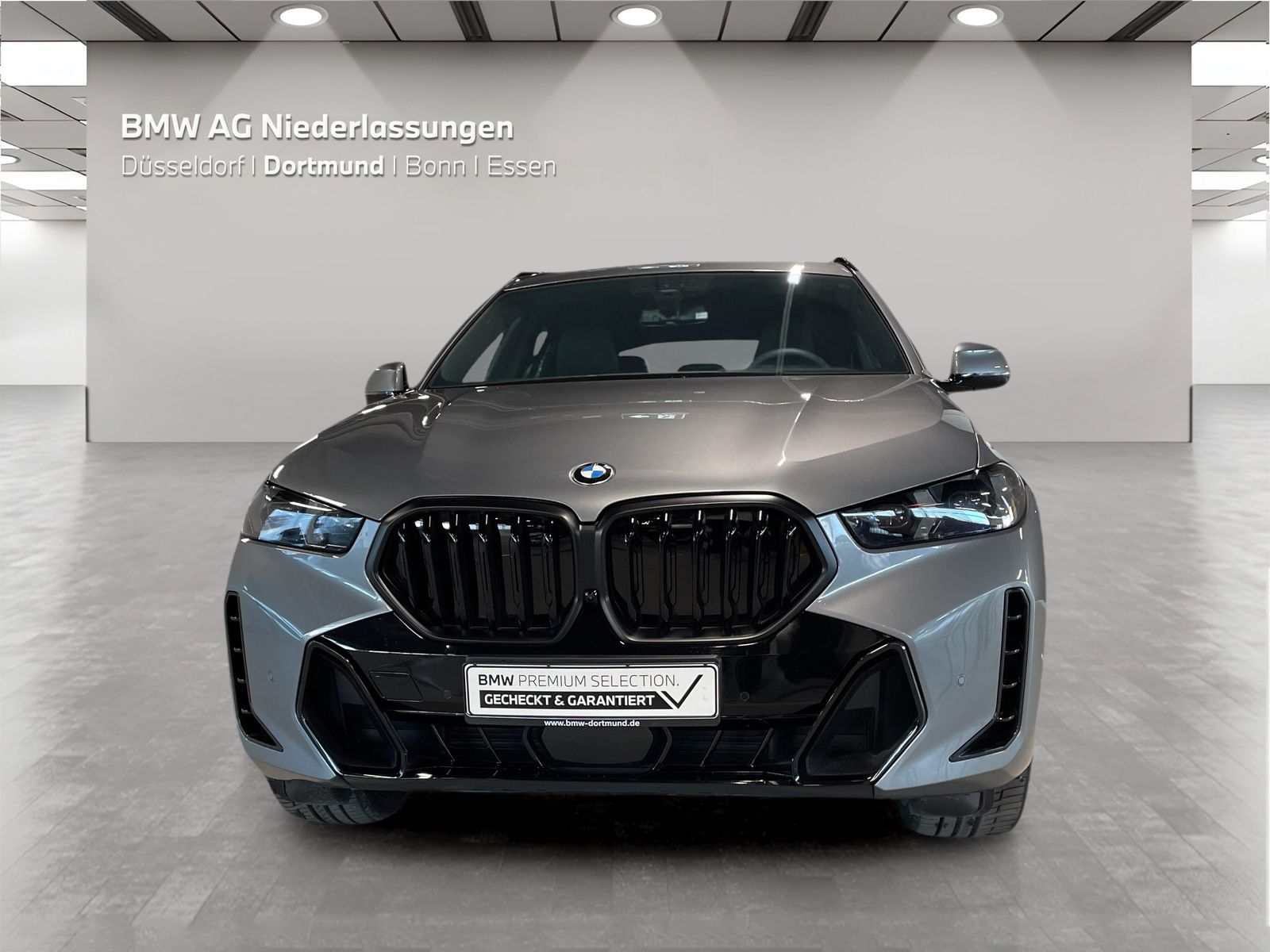 BMW X6 - Bild 8