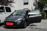 Fiat Punto 1.2 8V LOUNGE LOUNGE - Fiat Punto Gebrauchtwagen in München
