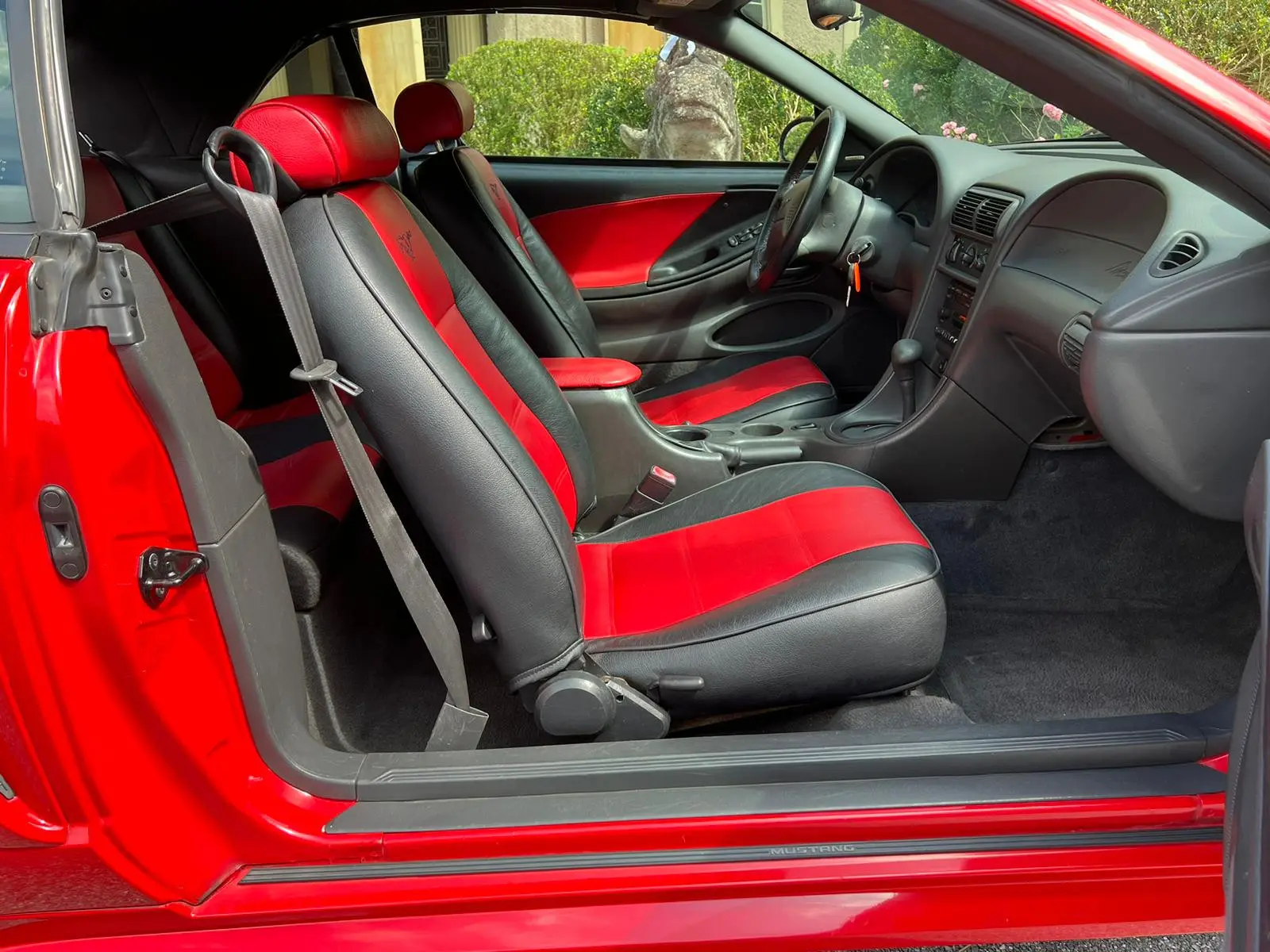 Ford Mustang Leder