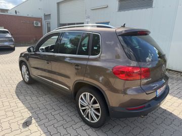 Volkswagen Tiguan - 6