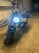Skyteam T-Rex 125 - SKYTEAM T REX