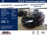 Skoda Octavia Combi 2.0 TDI DSG First Edition LED+PANO - Skoda Octavia: Leder, Standheizung