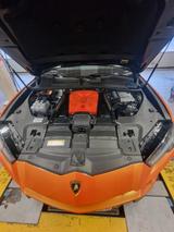 Lamborghini Urus 4.0 V8 Autom. - - Lamborghini Urus von privat