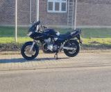 Suzuki Bandit 600 - Offers matching your search criteria