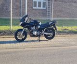 Suzuki Bandit 600 - Offers matching your search criteria