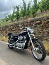 Harley-Davidson 100 Jahre Sonderedition, Sportster XL883 Custom  - Offers