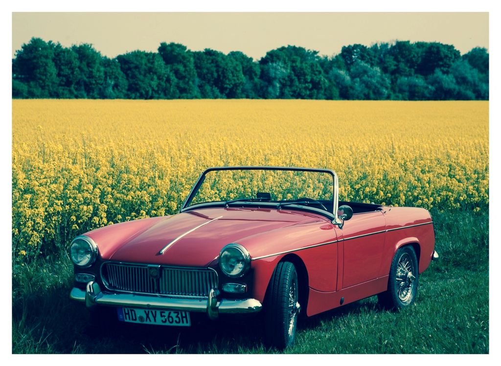 MG Midget kaufen bei mobile.de
