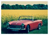 MG Midget Mark 1 (GAN 2) - MG Midget: Roadster