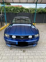 Ford Mustang GT/CS California Spezial 4.6L V8 - Ford Mustang: Cs