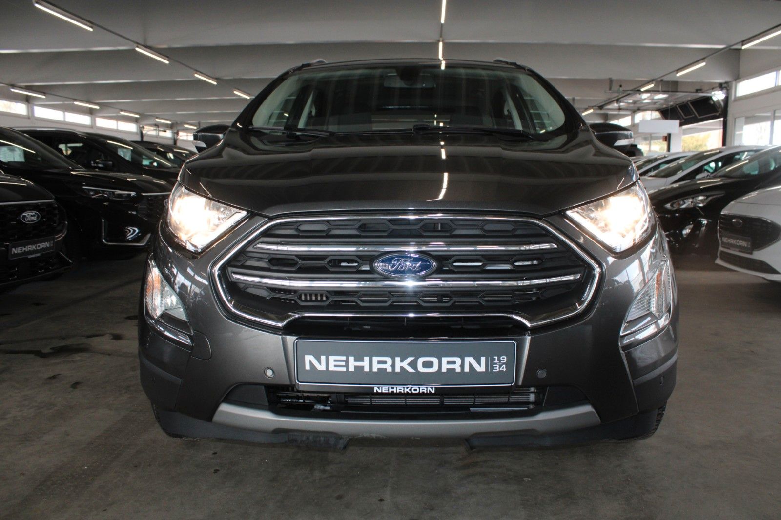 Fahrzeugabbildung Ford EcoSport Titanium NAVI Schiebedach CAM WinterPak