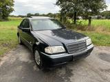 Mercedes-Benz C 180 Elegance  // TÜV bis 04.2027  //  10... - Mercedes-Benz C 180 aus 1998