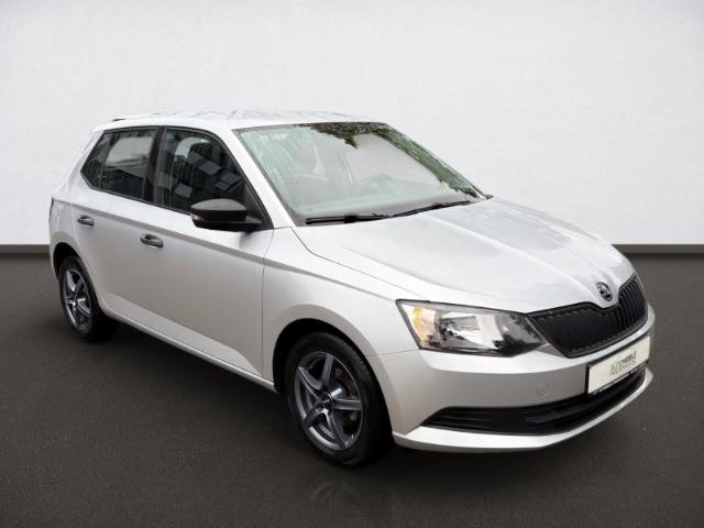Skoda Fabia Cool Edition 1.2 TSI 66 KW Klima Bluetooth