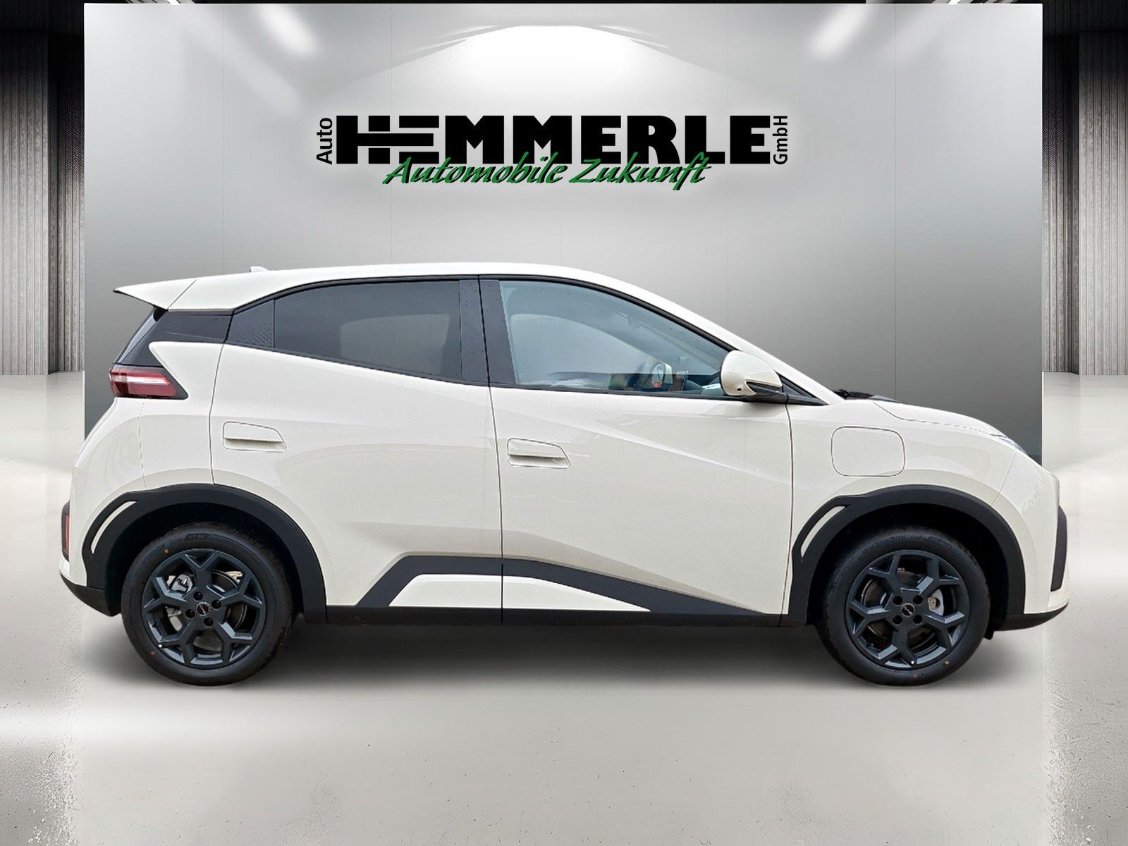 BYD DOLPHIN - Bild 4