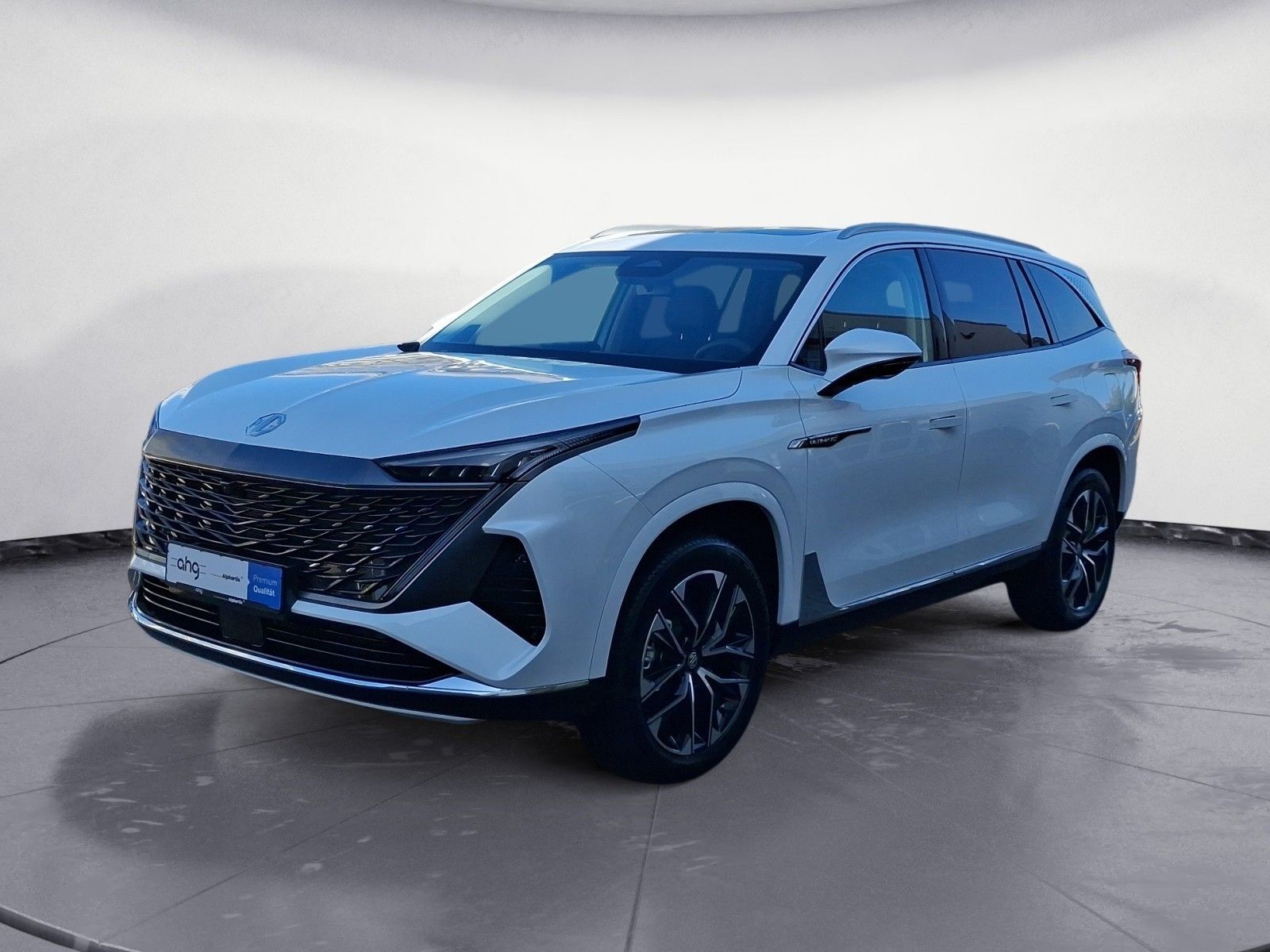 MG S9 PREMIUM PHEV 25 x SOFORT GRAU SCHWARZ WEISS imagem 2