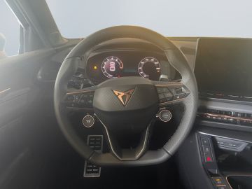 Cupra Terramar - 11