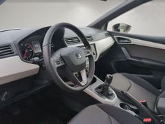 SEAT Arona 1.0 TSI Xcellence~gepflegt